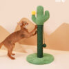 cat cactus scratching post