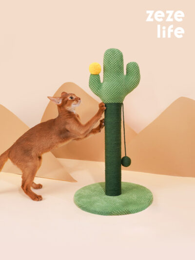 cat cactus scratching post