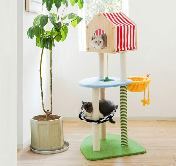 Shipping Choose an option Economy Shipping (46 weeks) In Stock In US