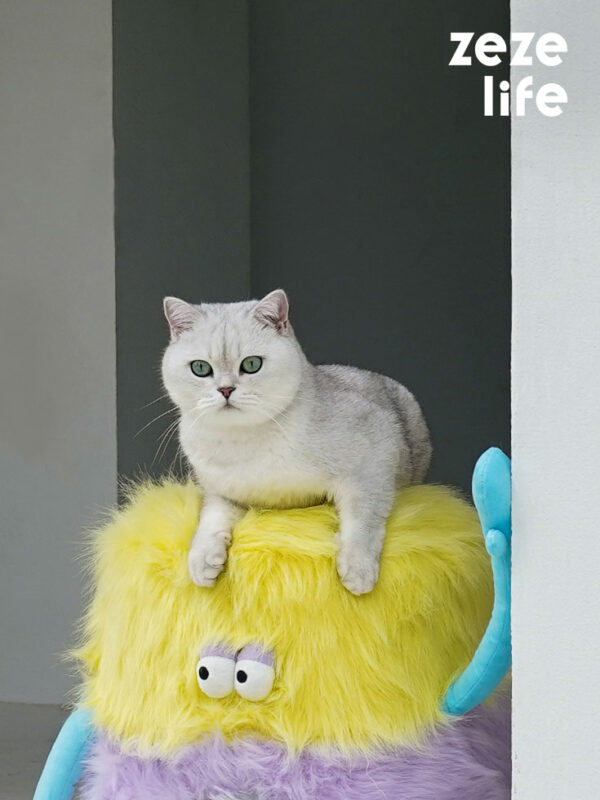 Little Monster Stool Cat Bed