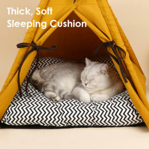Shipping Choose an option Economy Shipping (4-6 weeks) In Stock In US