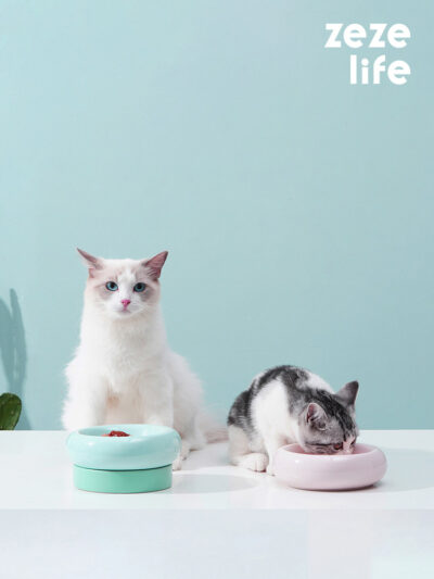Double Layer Ceramic Cat Bowl