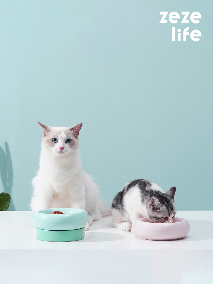 Ciotola per gatti in ceramica a doppio strato