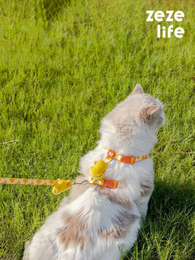 Duck Cat Harness and Leash