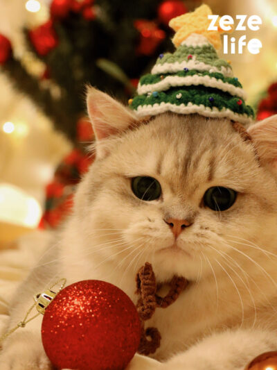 Christmas Hat Cat Clothes - Cat Christmas Costumes