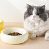 Donut Ceramic Cat Bowl