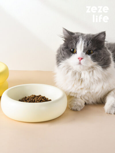 Donut Ceramic Cat Bowl