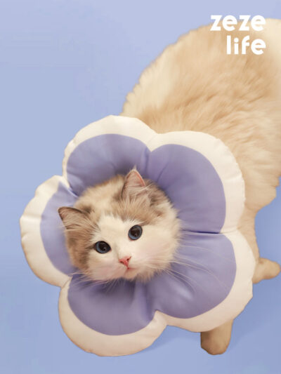 Flower Cat Cone