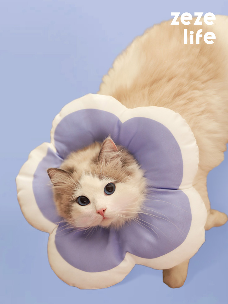 Flower Cat Cone