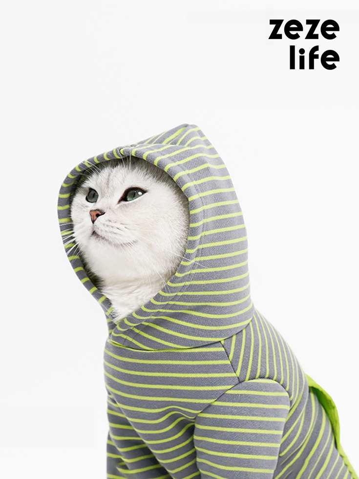 Green Stripes Cat Clothes - Zezelife