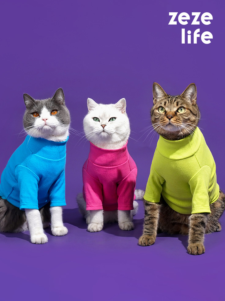 Vêtements pour chat à col roulé - Zezelife