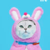 Pink Bunny Cat Cloak