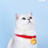 Handmade Bell Cat Collar