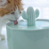 Cactus Style Cat Water Fountain