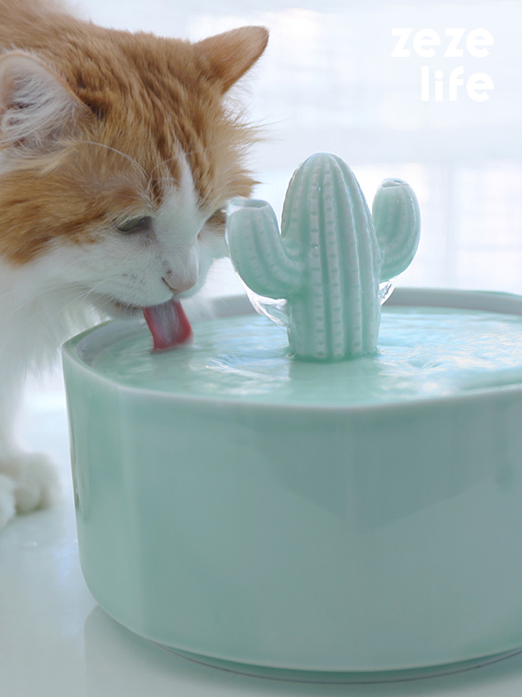 Fuente de agua para gatos Cactus 2.0L Fuente de cerámica silenciosa para  mascotas