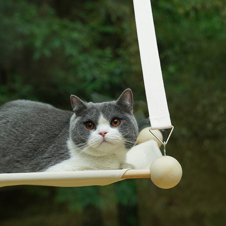 Cama Hamaca para gatos para asolearse en la ventana