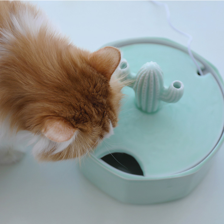 Pompe Fontaine à Eau pour Chat - Fontaines à Eau - Amour de Chat