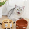 Monster & Dinosaur Ceramic Cat Bowl