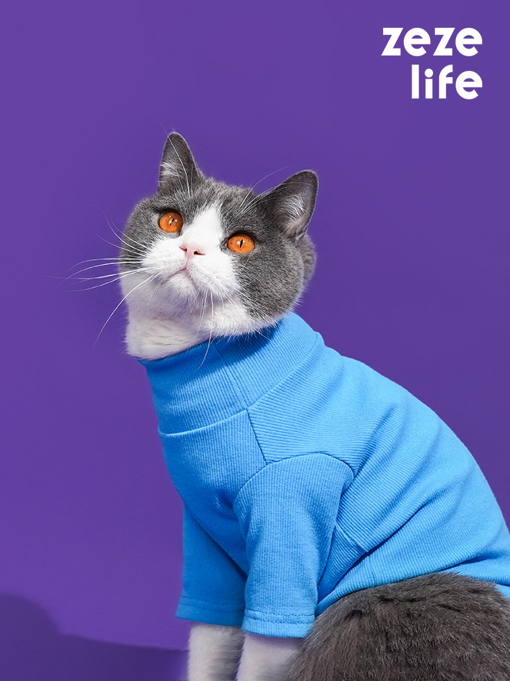 Vêtements pour chat à col roulé - Zezelife