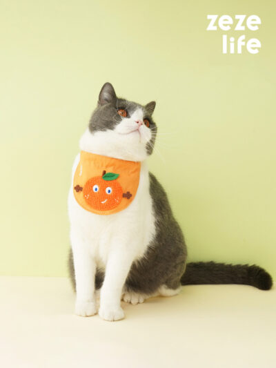 Orange Cat Bandana