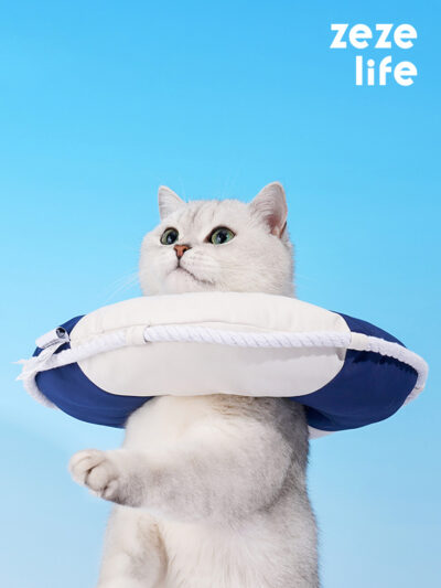 Swimming Ring Cat Cone