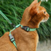 Checkerboard Cat Harness and Leash