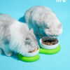 Ceramic Silicone Cat Bowl