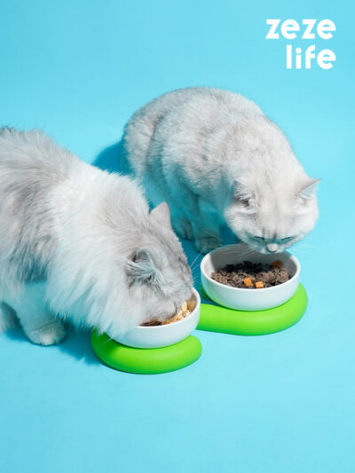 Ceramic Silicone Cat Bowl