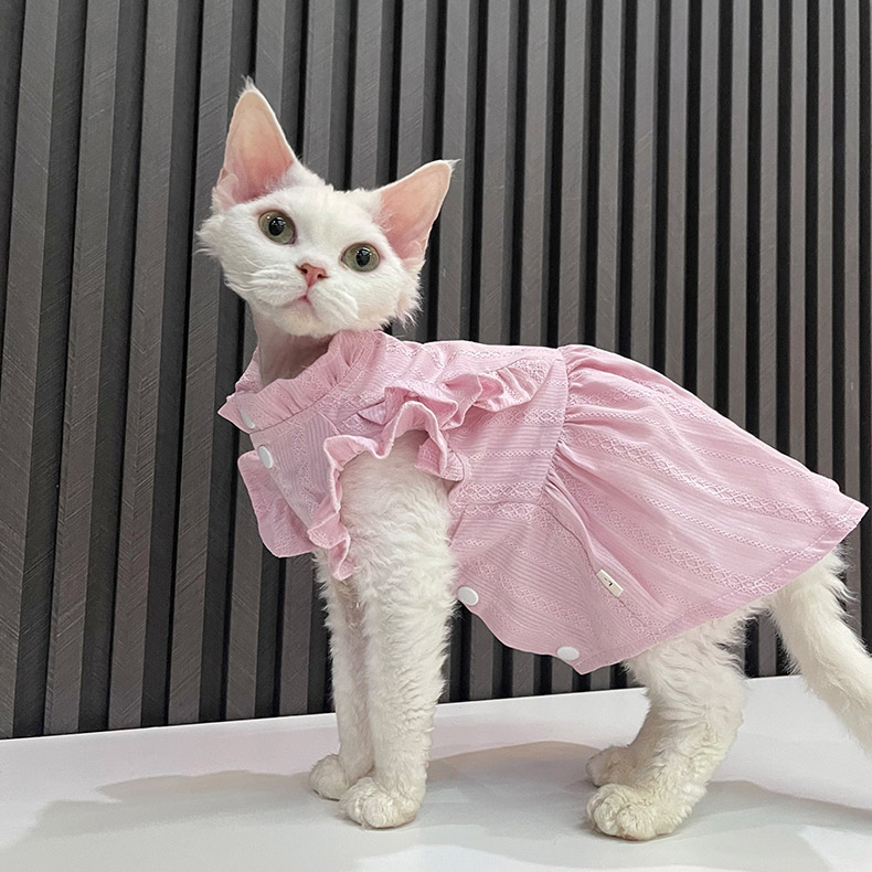 dresses for cats