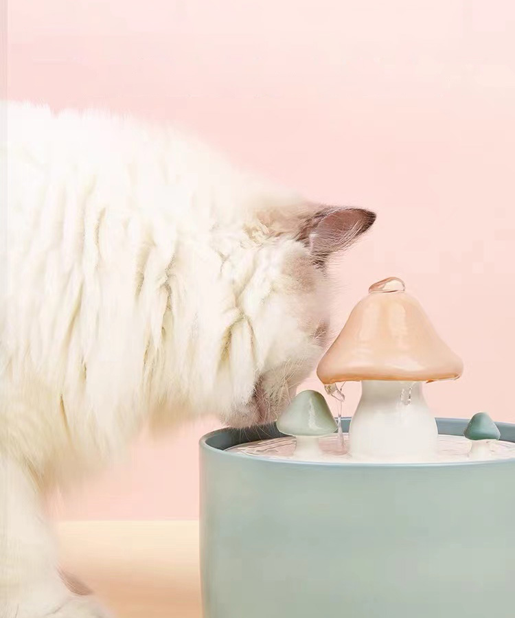 Pompe Fontaine à Eau pour Chat - Fontaines à Eau - Amour de Chat