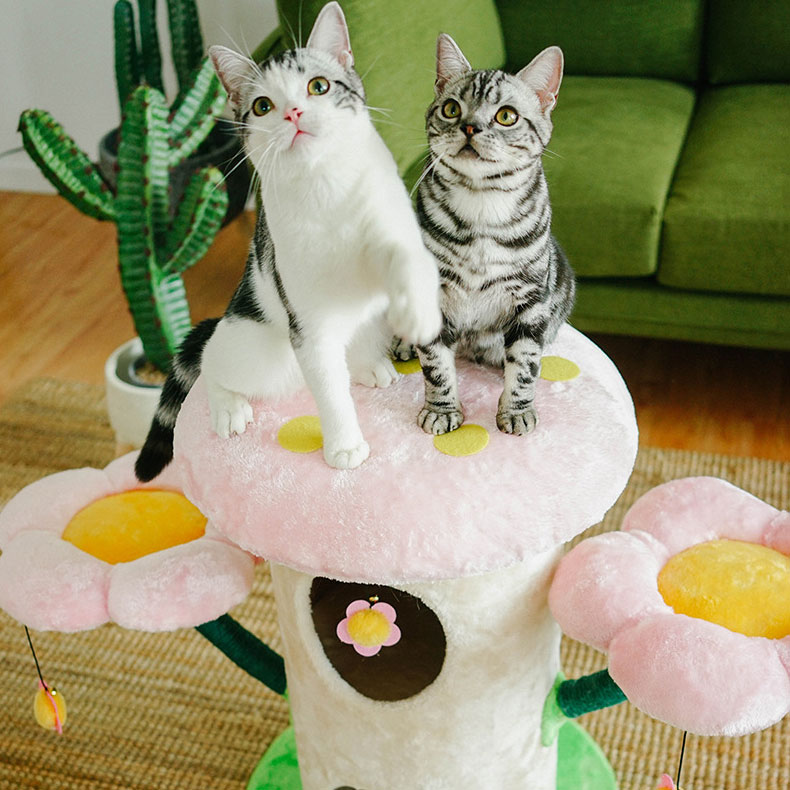 Torres de gatos cheap
