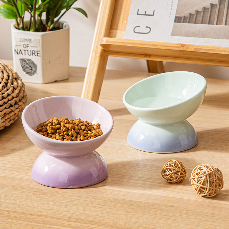 Gradient Color Elevated Cat Bowls - Zezelife