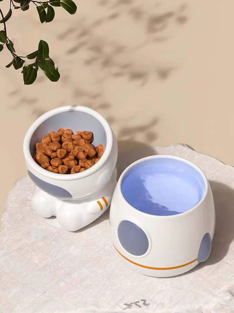 Multicolor Ceramics Elevated Cat Bowls - Zezelife