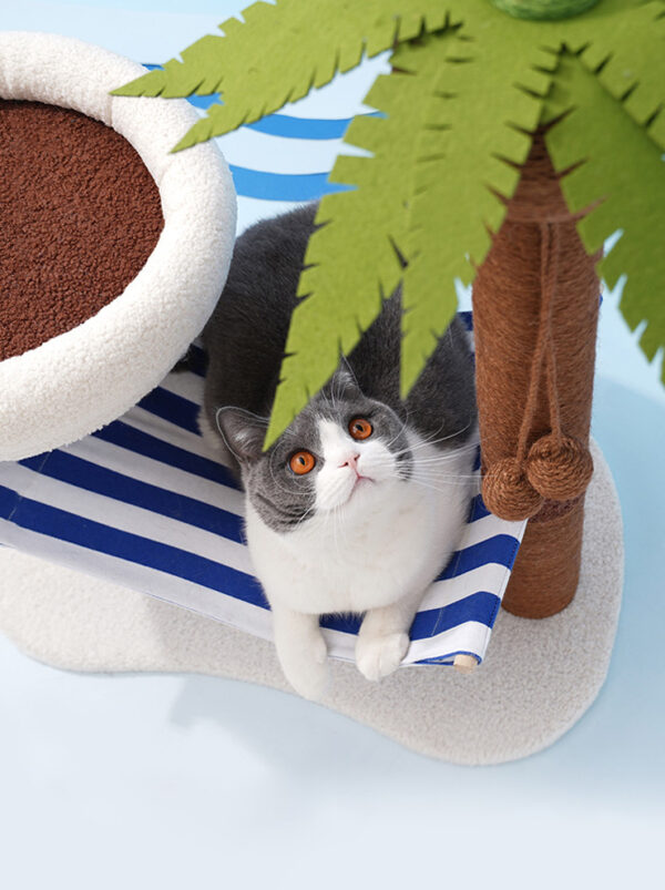 Shipping Choose an option Economy Shipping (46 weeks) In Stock In US