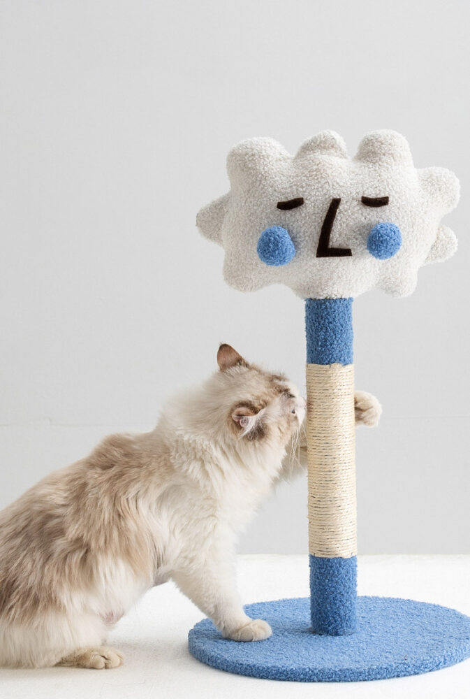 Style Choose an option Sad Pouting Sleepy Happy