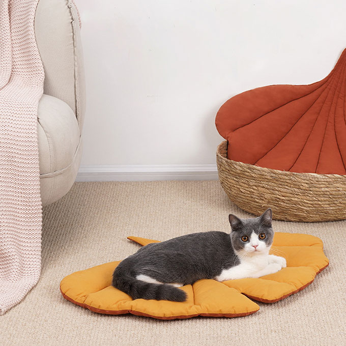 Swimming Pool Cat Litter Mat - ZezeLife