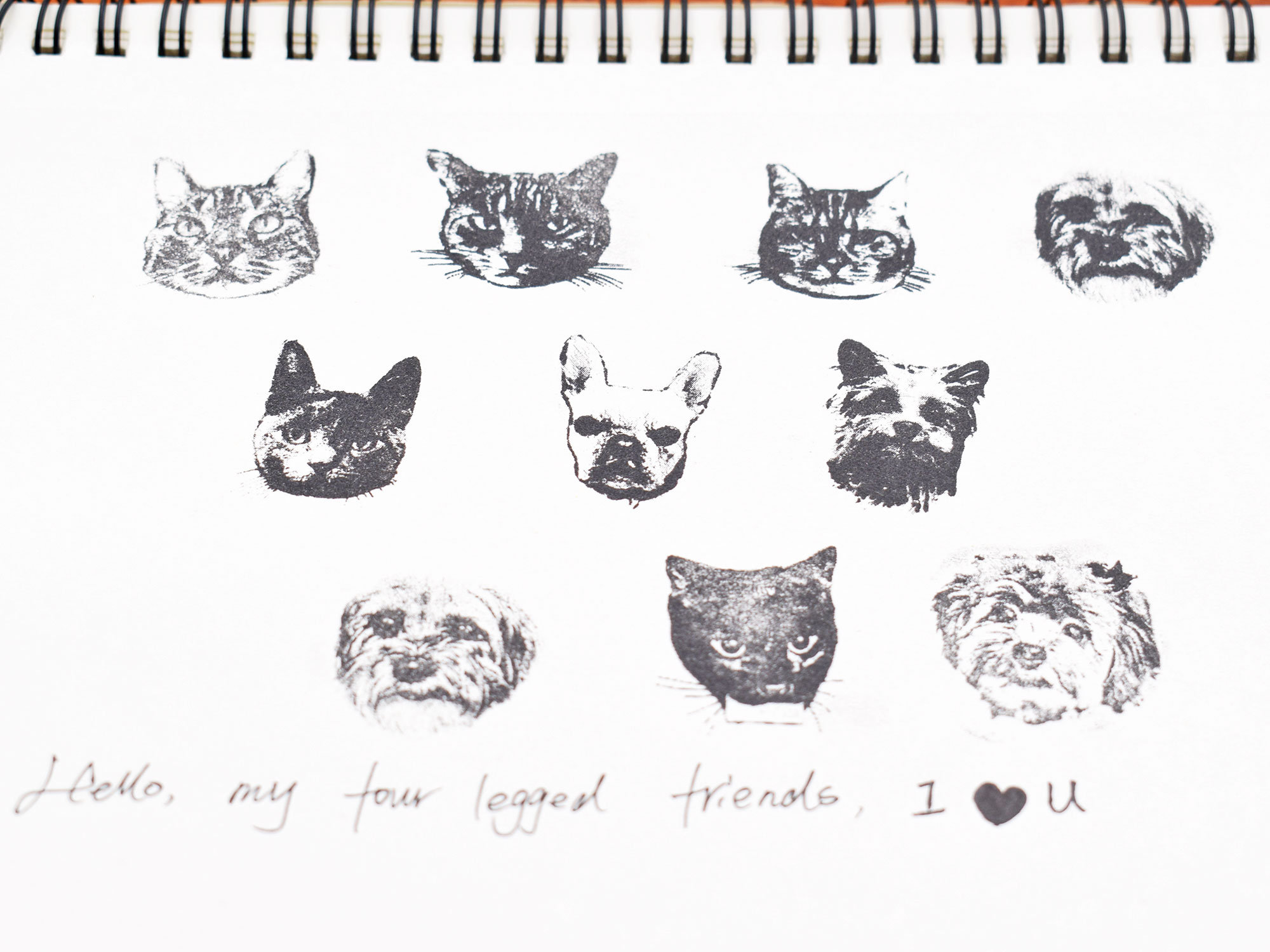 Custom-Made Personalized Cat Portrait Stamp – CatCurio Pet Store