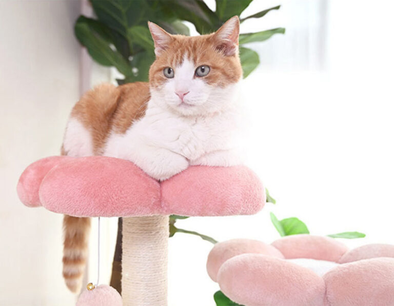 Shipping Choose an option Economy Shipping (46 weeks) In Stock In US (37 days) In Stock In EU