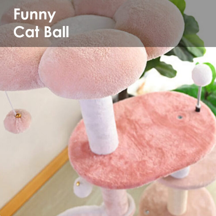 Shipping Choose an option Economy Shipping (46 weeks) LA Stock