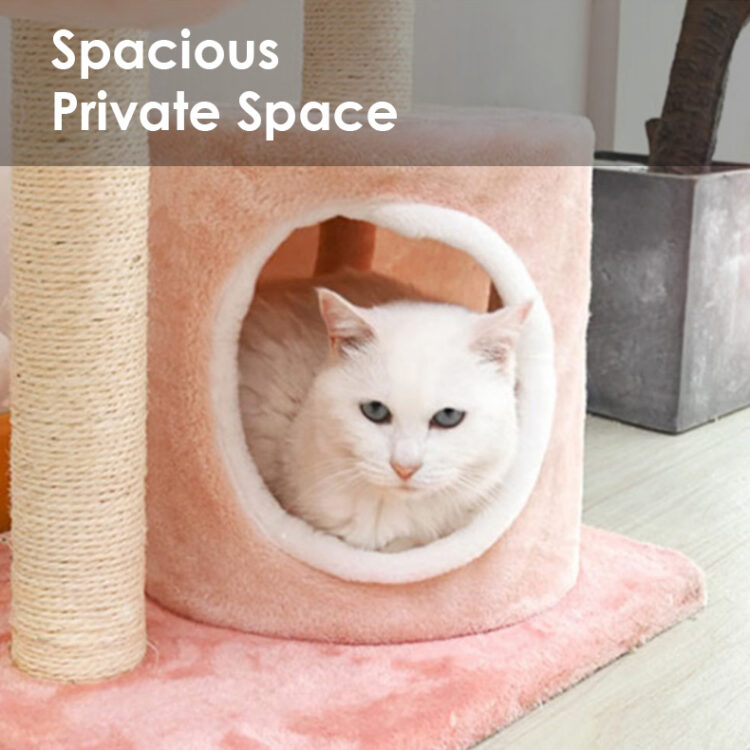 Shipping Choose an option Economy Shipping (46 weeks) LA Stock