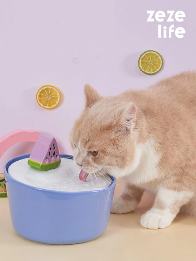 Watermelon Cat Water Fountain