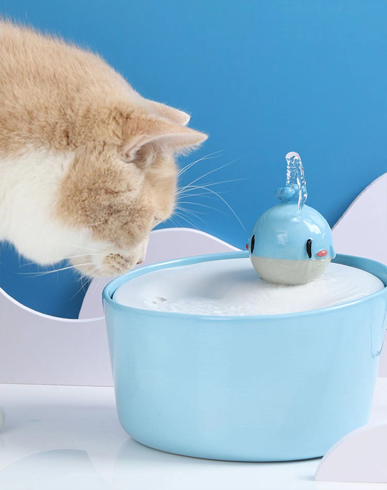 Fuente de Agua Gato Ballena - Zezelife