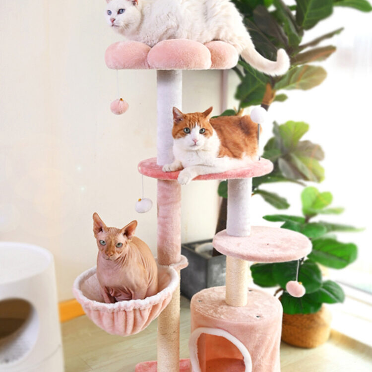 Style Choose an option A B C