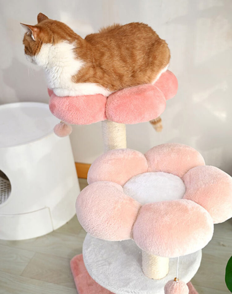 Style Choose an option A B C