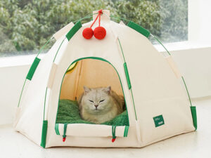cat teepee