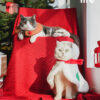 Gift Set Cat Christmas Costumes