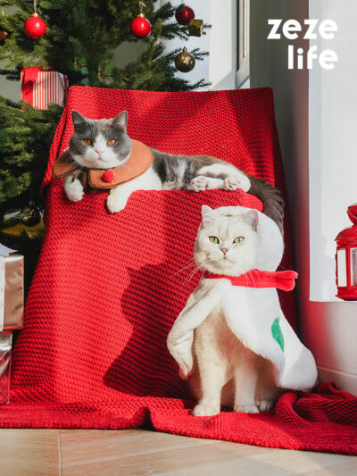 Gift Set Cat Christmas Costumes