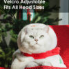 Gift Set Cat Christmas Costumes