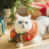 Gift Set Cat Christmas Costumes