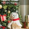 Gift Set Cat Christmas Costumes